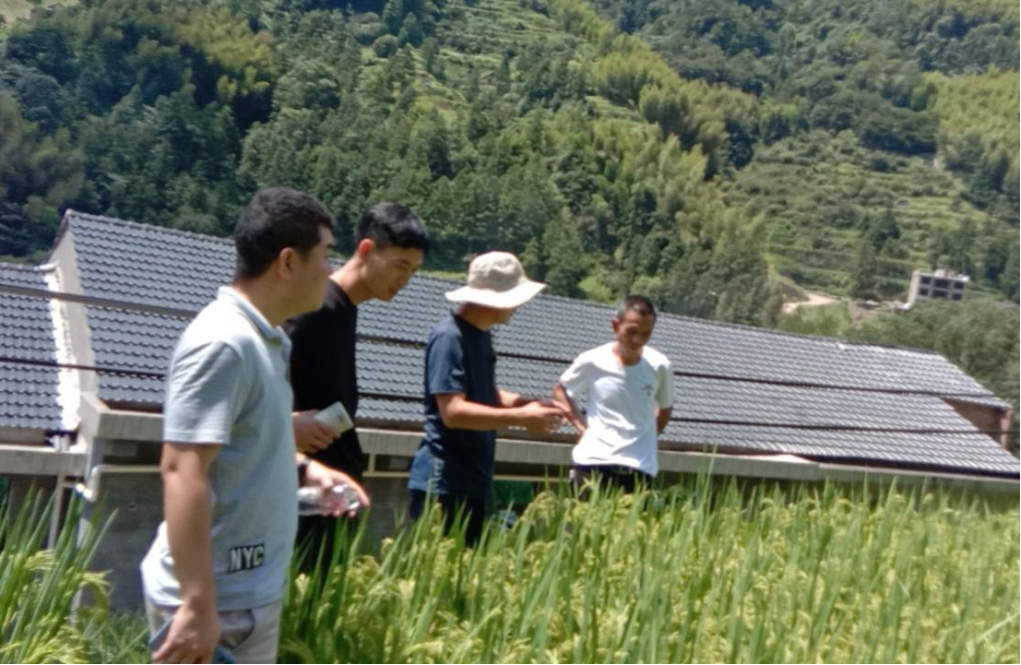 投稿庫08156793.png